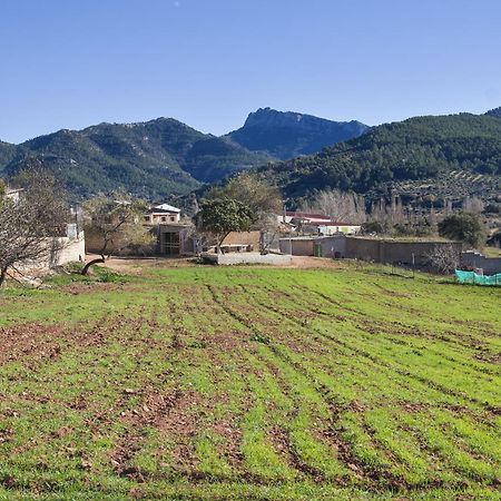 Casa Rural Chache Casto Бьенсервида Экстерьер фото
